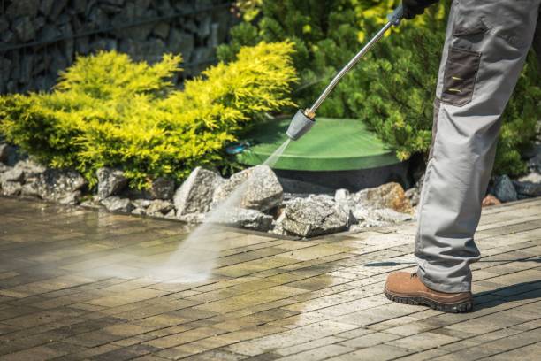 Best Gutter Cleaning and Brightening in Stapleton, AL